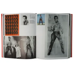 Andy Warhol Giant (mini -formaat)