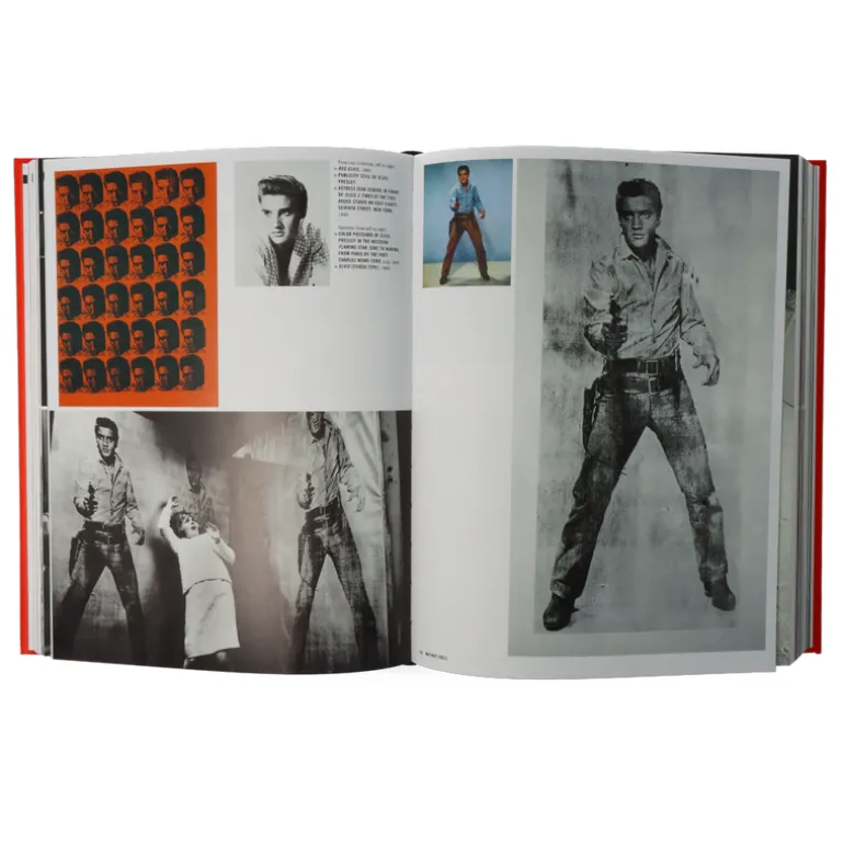 Andy Warhol Giant (mini -formaat)