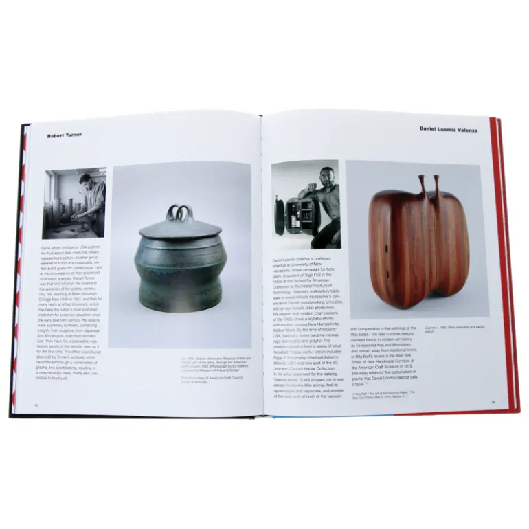 Objects: USA 2020